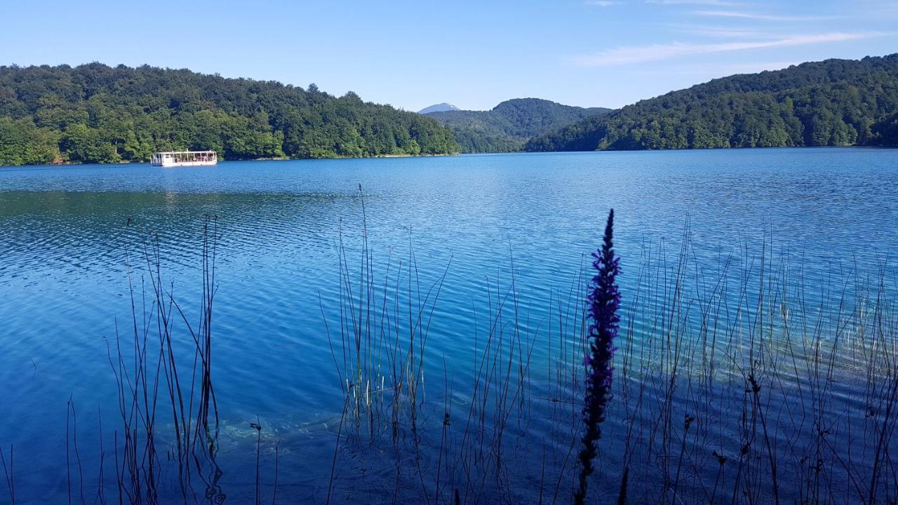 B&B Plitvice Lakes Villa Prica ปลิตวิตซาเซโล ภายนอก รูปภาพ