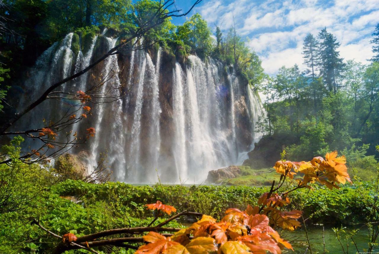 B&B Plitvice Lakes Villa Prica ปลิตวิตซาเซโล ภายนอก รูปภาพ